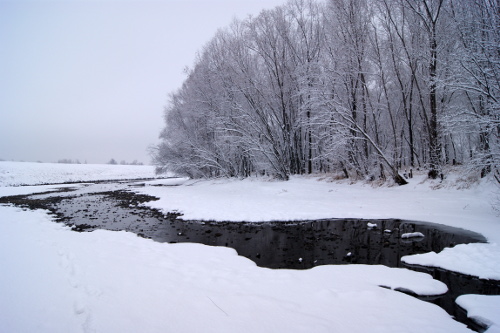 ?�?????� ?????? ?????�?????? (The Bira river covered by snow)